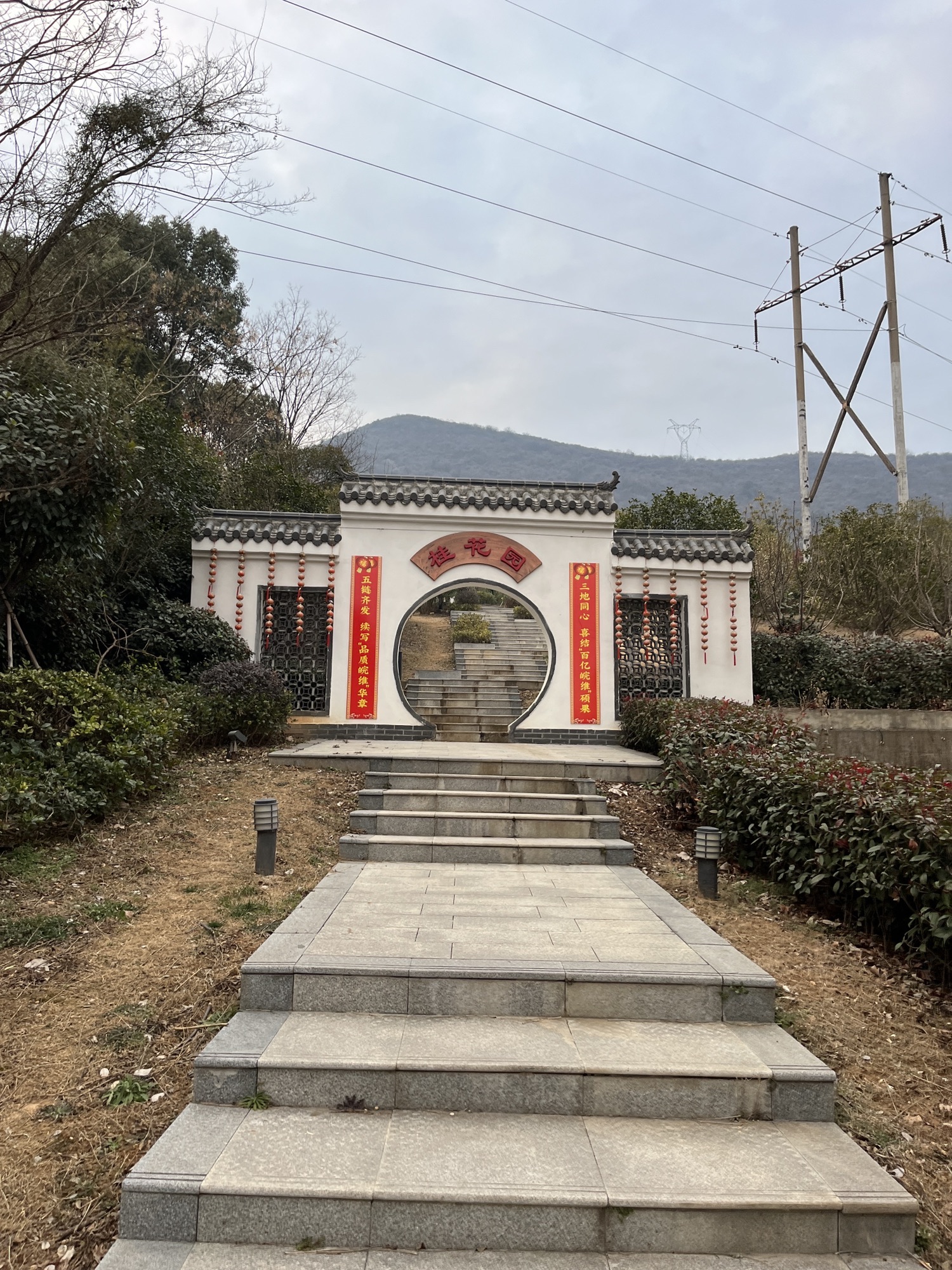 皖维西区桂花园