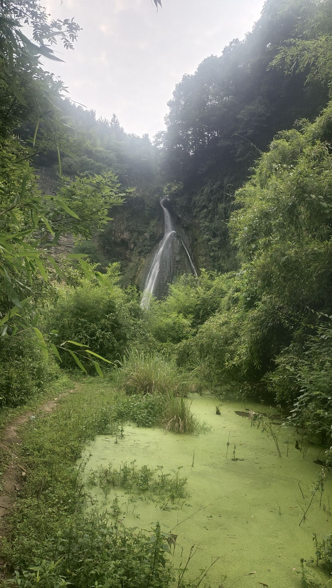 樱花溪瀑布旅行图片