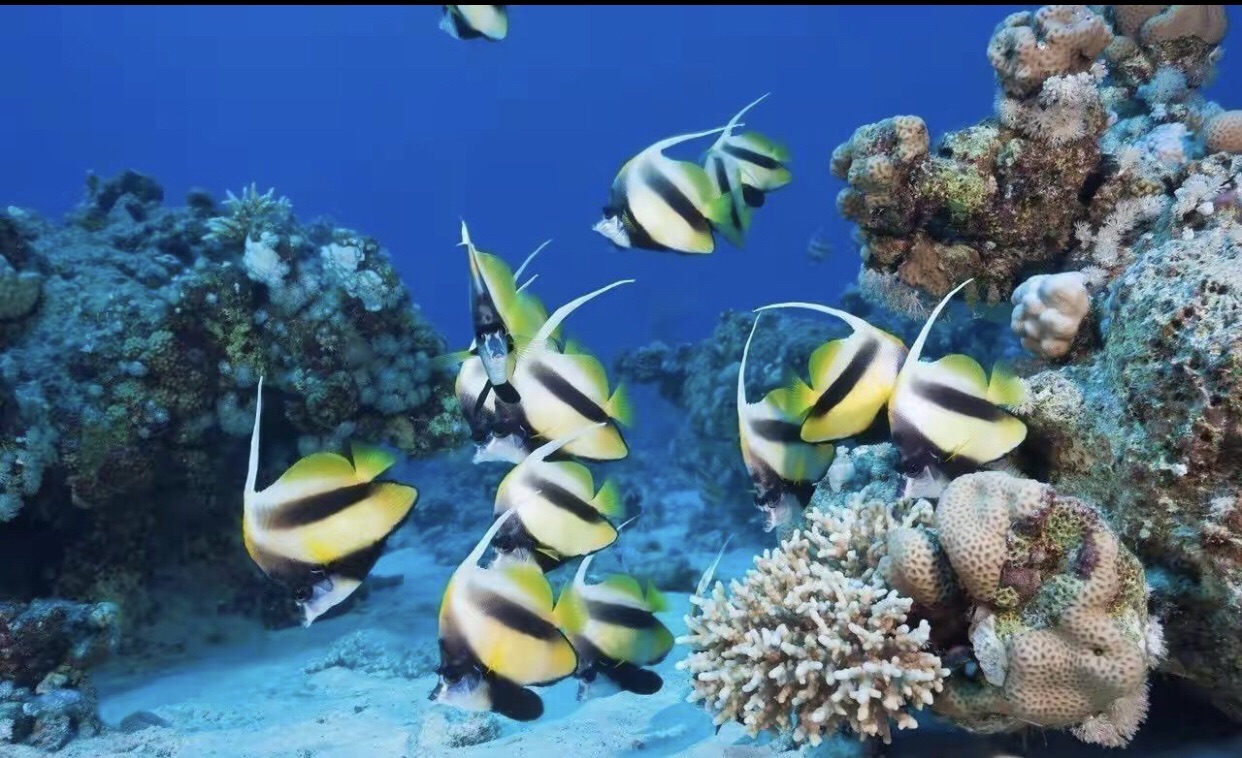 自贡海洋世界