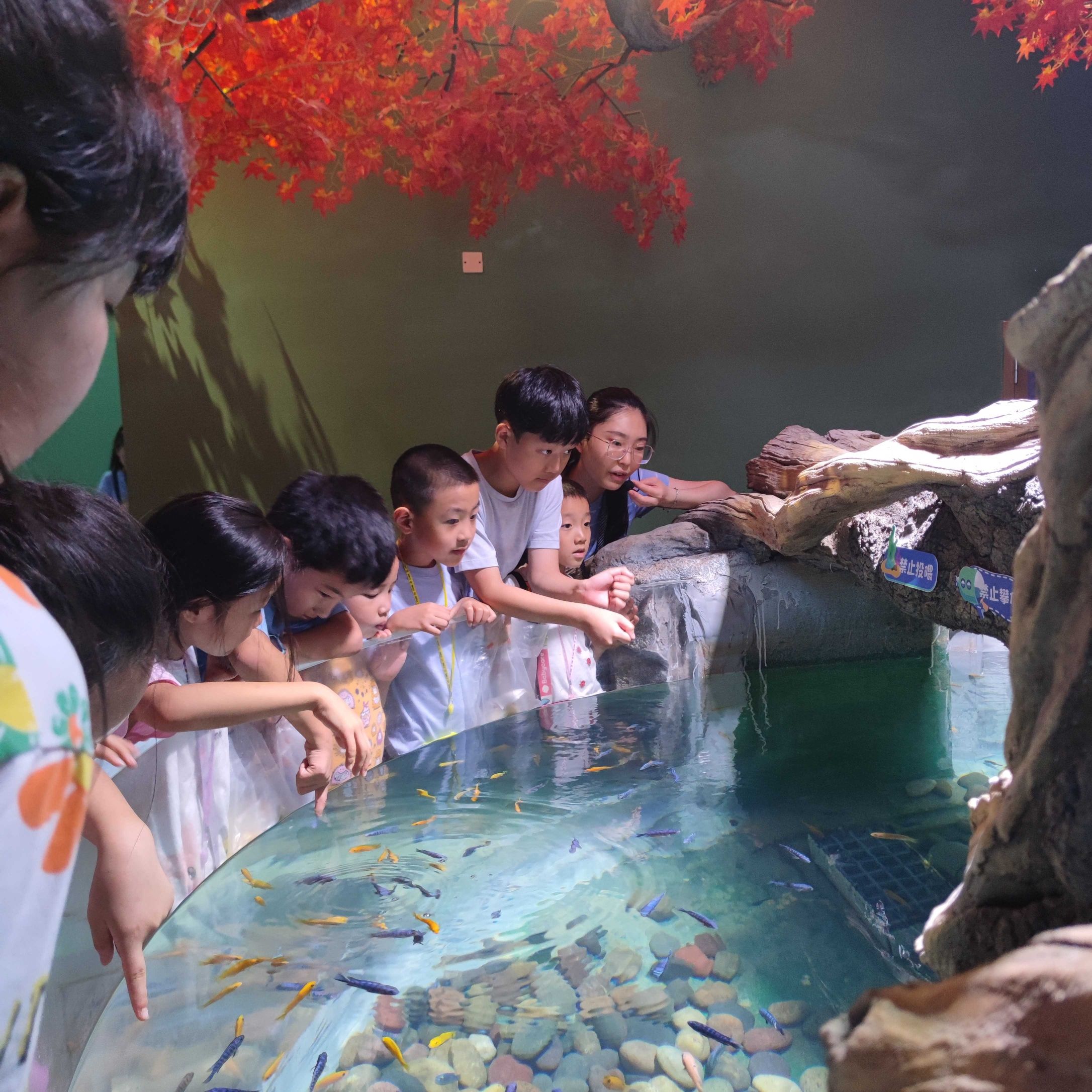 自贡海洋世界旅行图片
