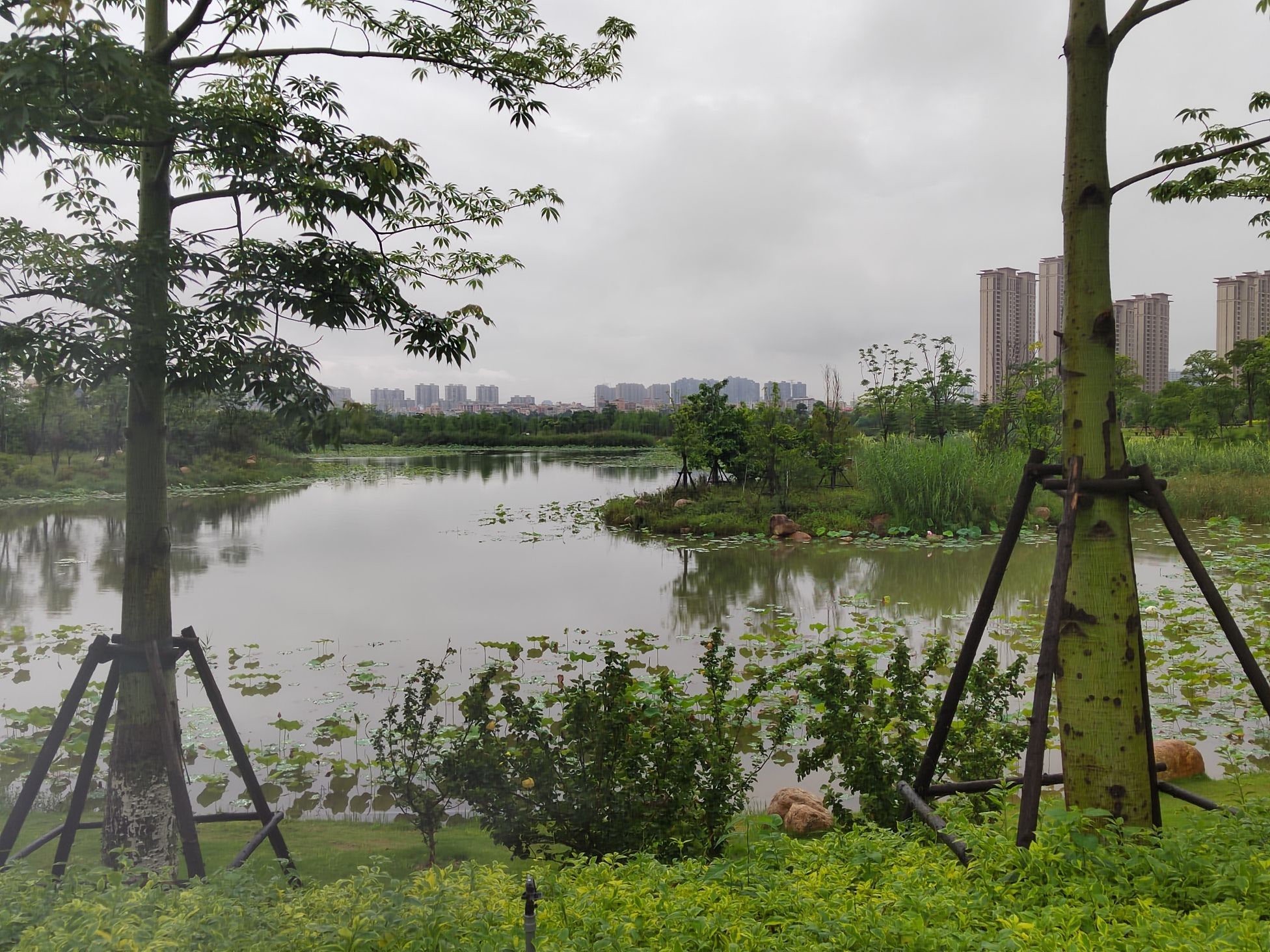 马銮湾双溪湿地公园