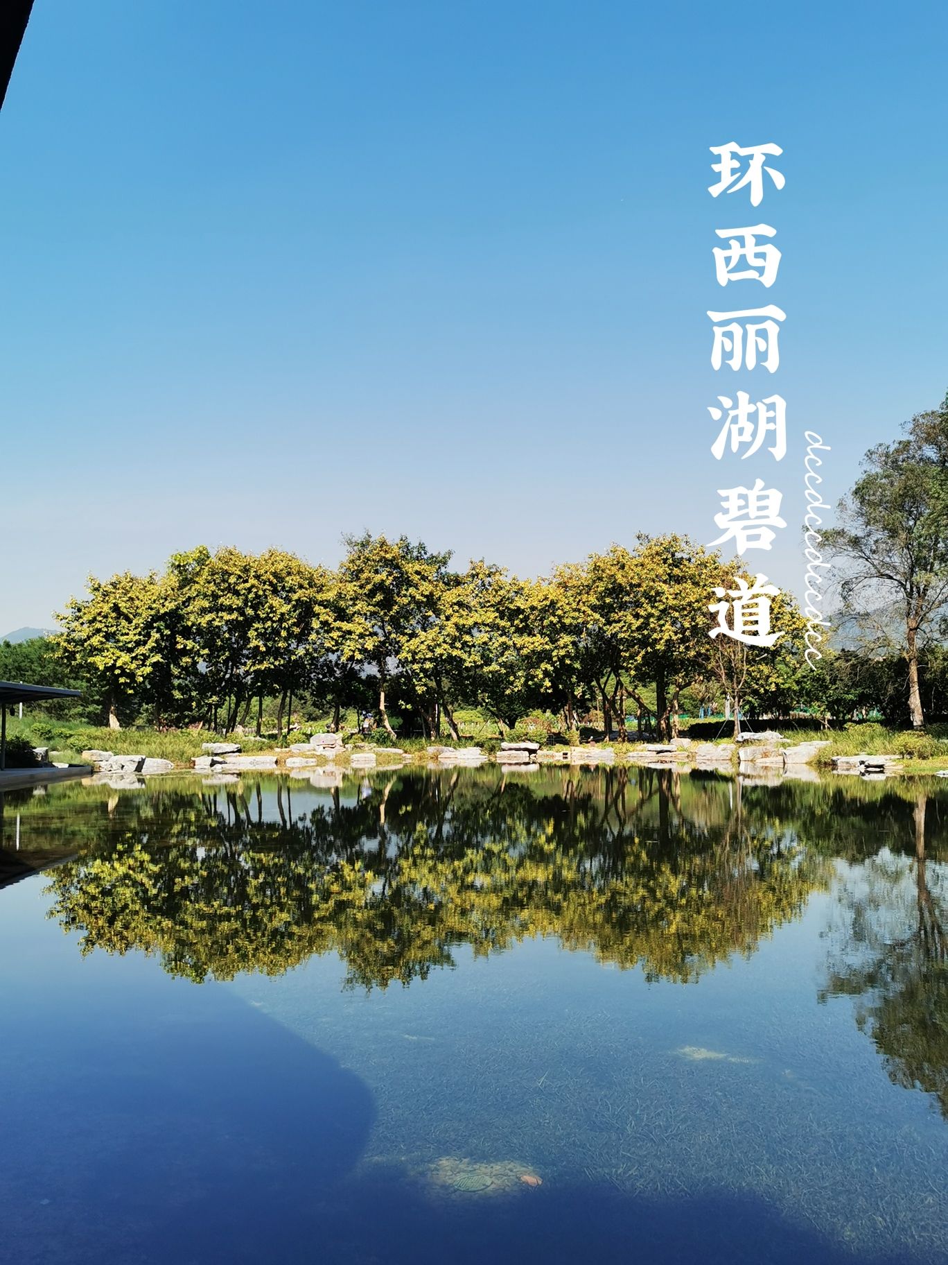 环西丽湖碧道