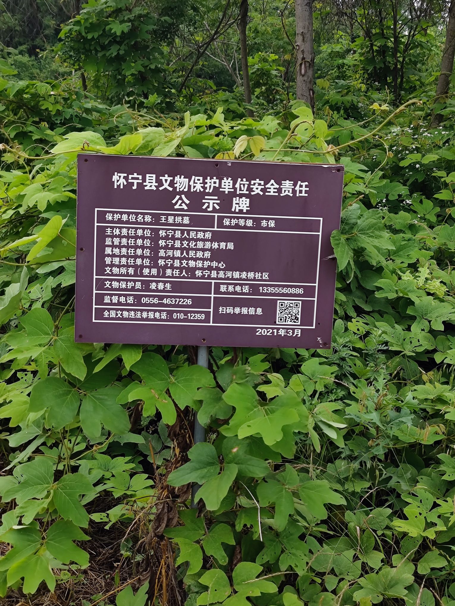 王星拱墓