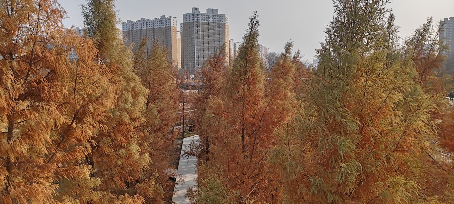 东风渠生态文化公园旅行图片