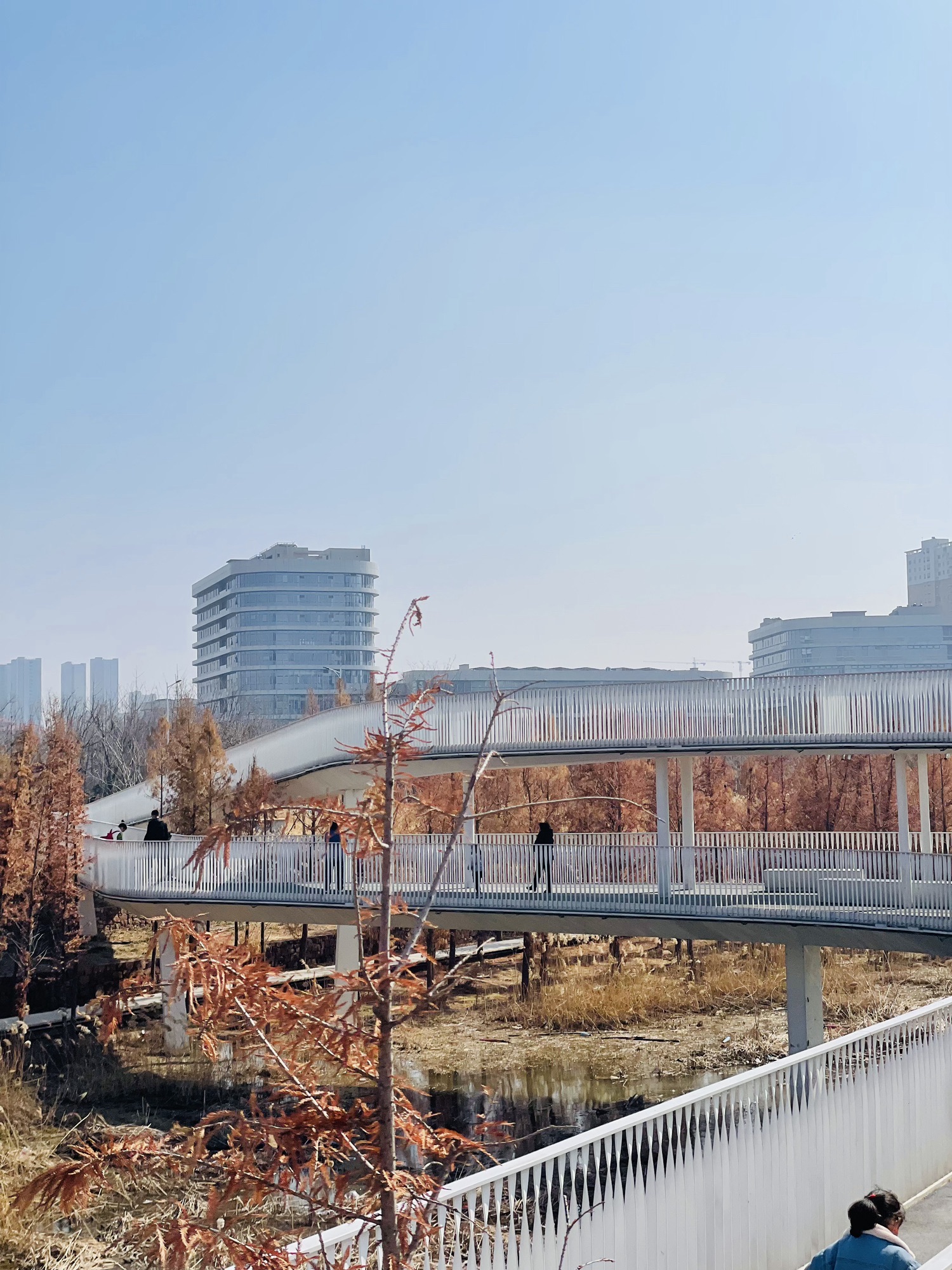 东风渠生态文化公园旅行图片