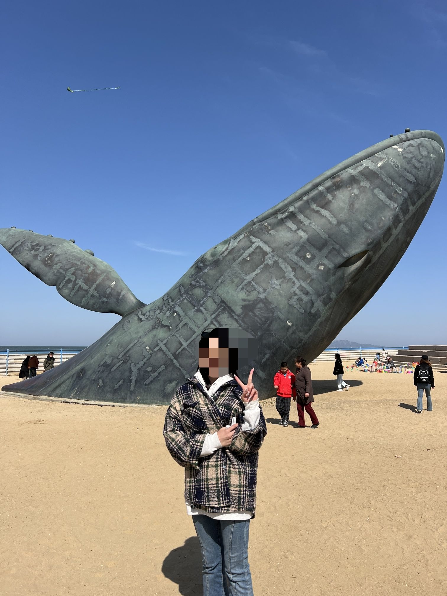 孤独的鲸