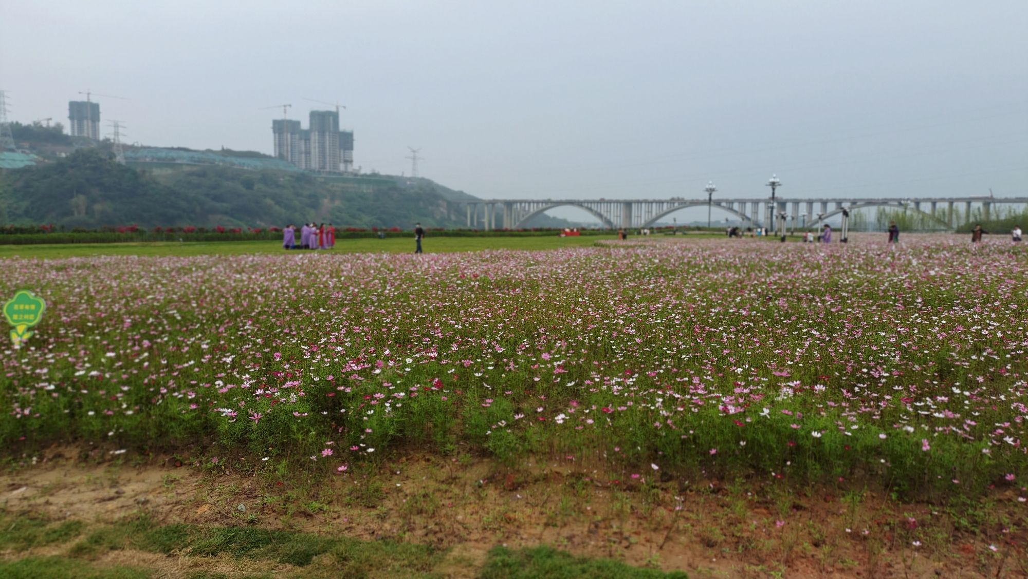 岷江花海