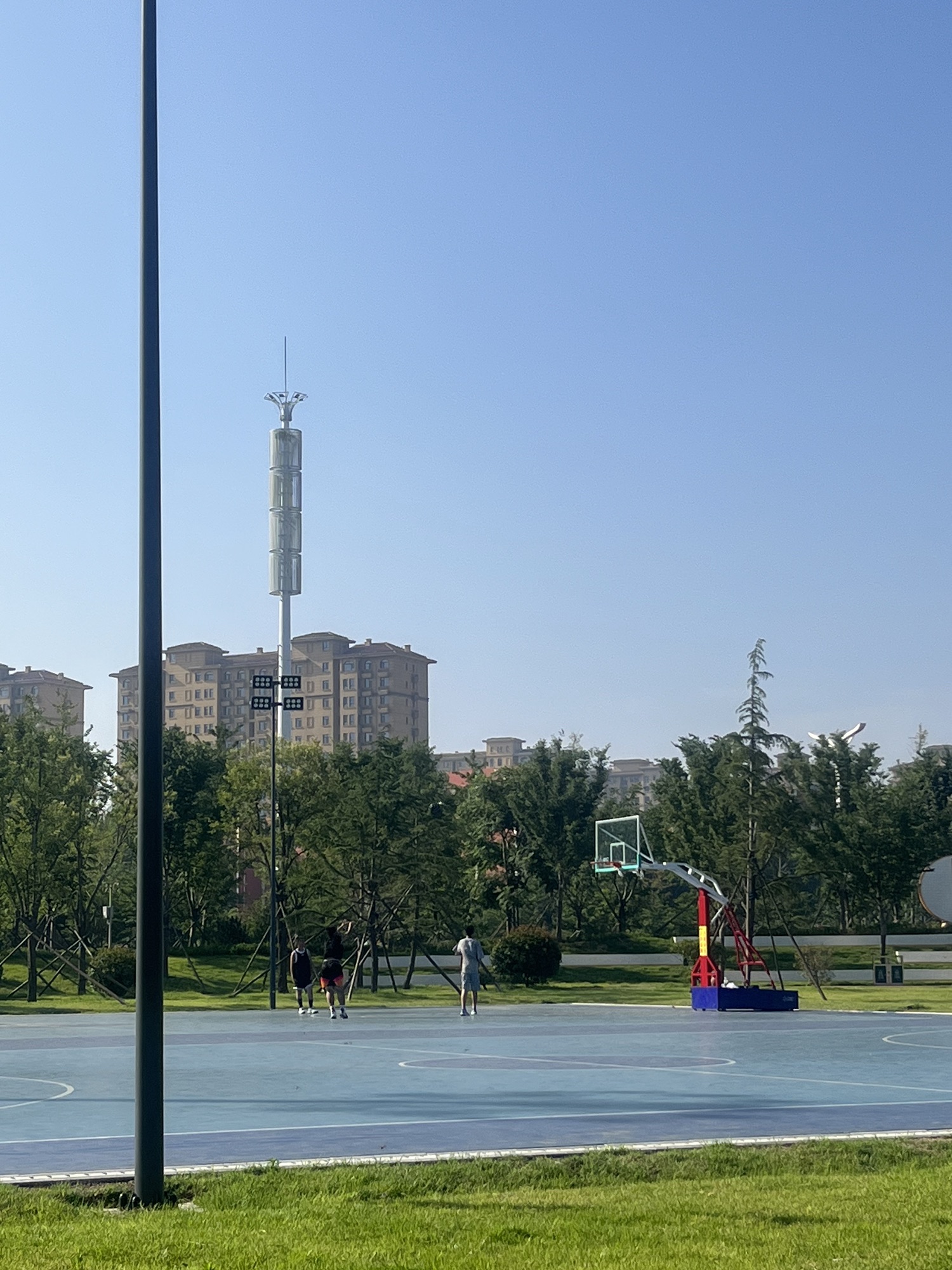 城市中央公园