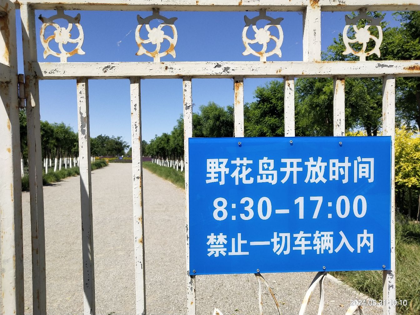 静湖公园野花岛