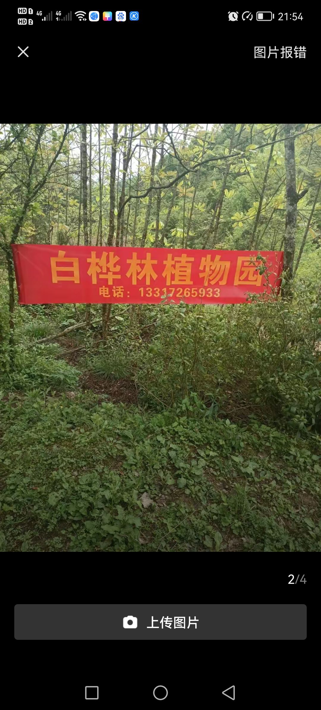 白桦林植物园