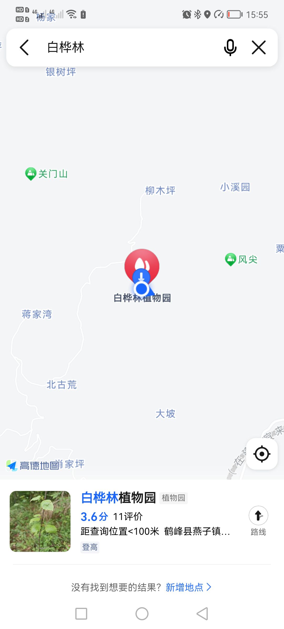 白桦林植物园旅行图片