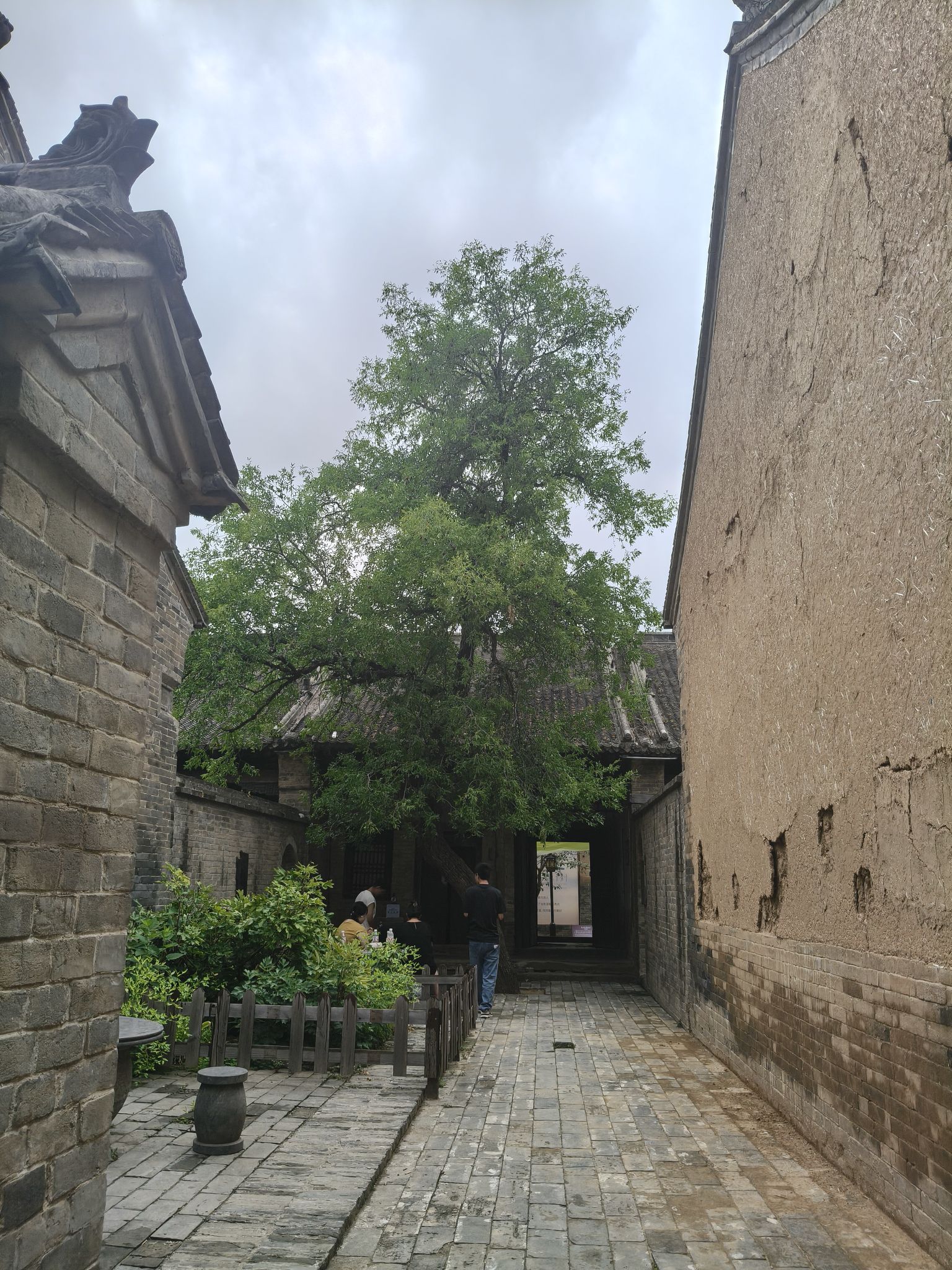 魏坡·新序