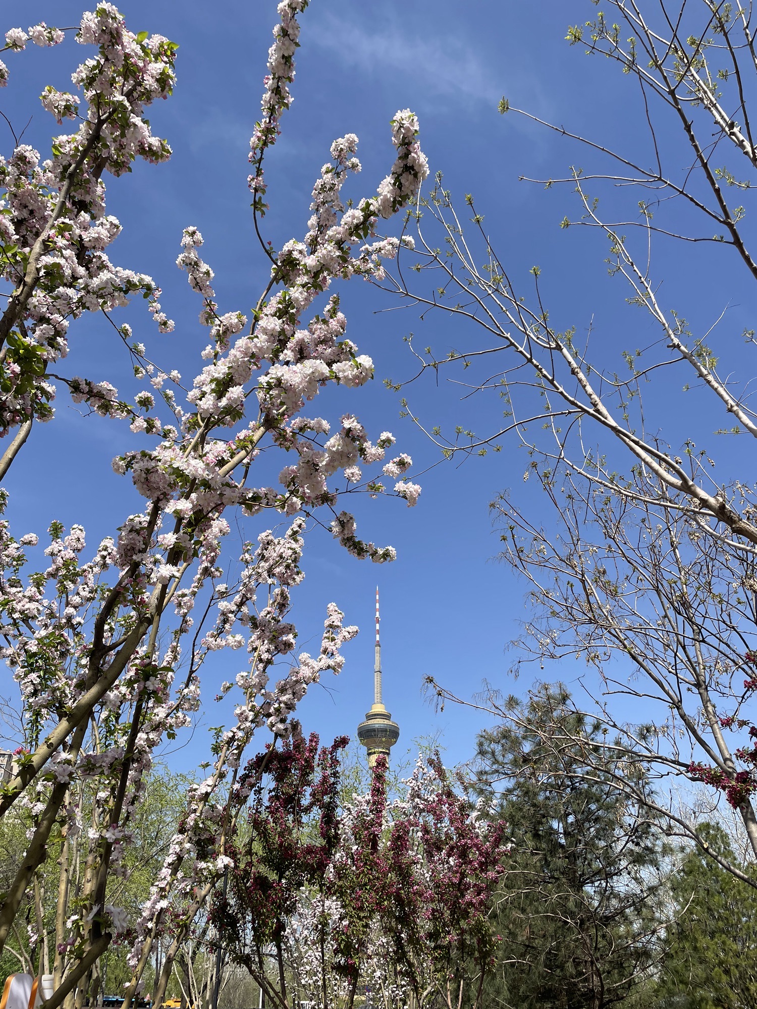 儿童科学公园