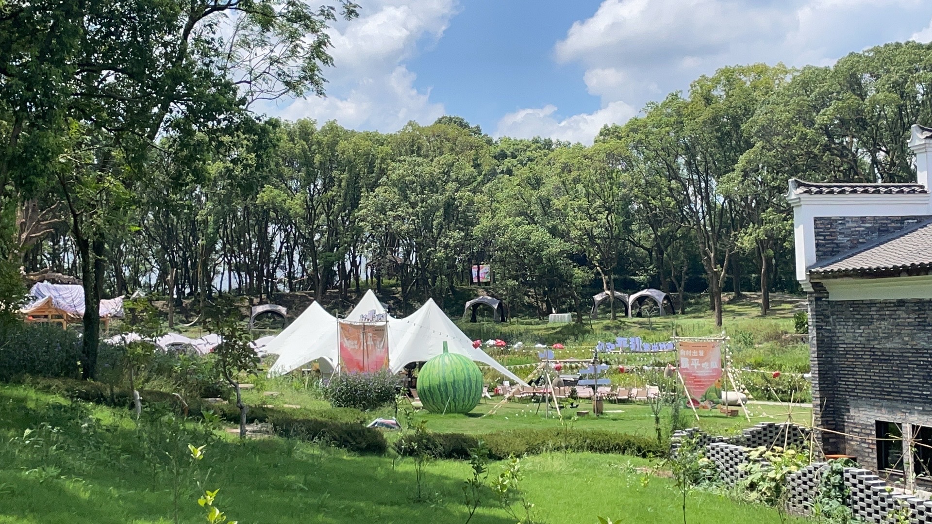 钓源十里芳菲旅行图片