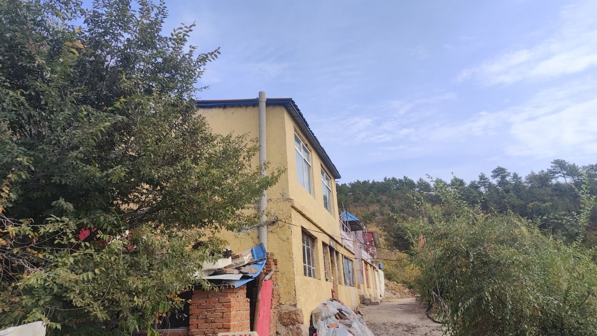 悟明洞