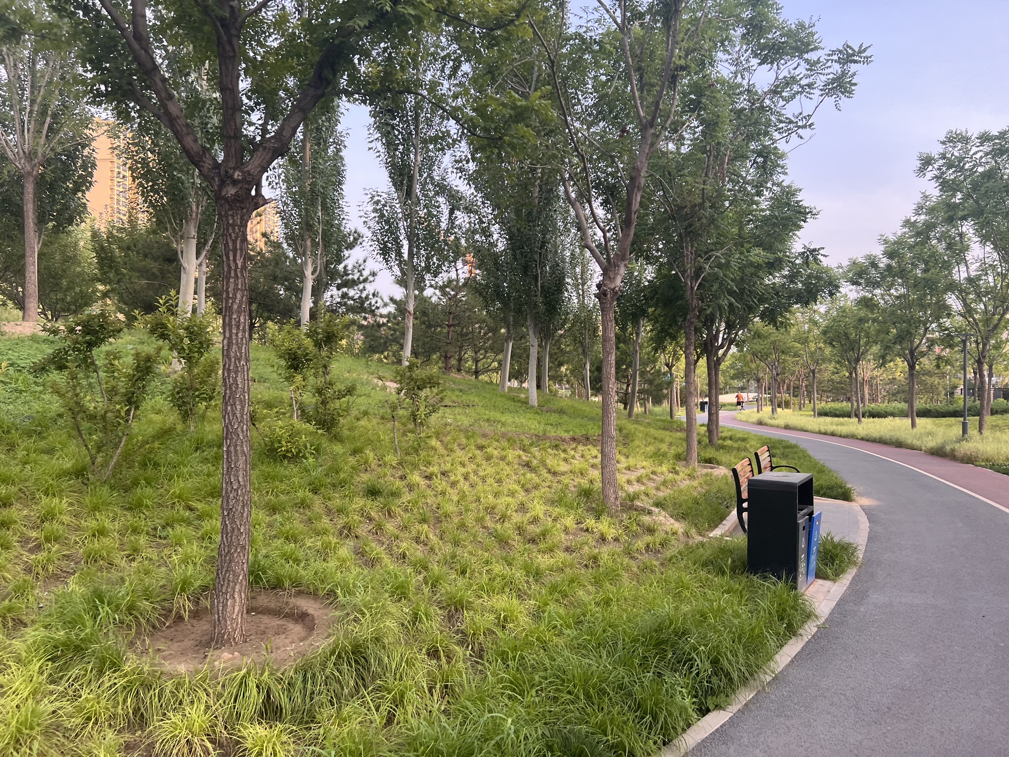 绿地公园