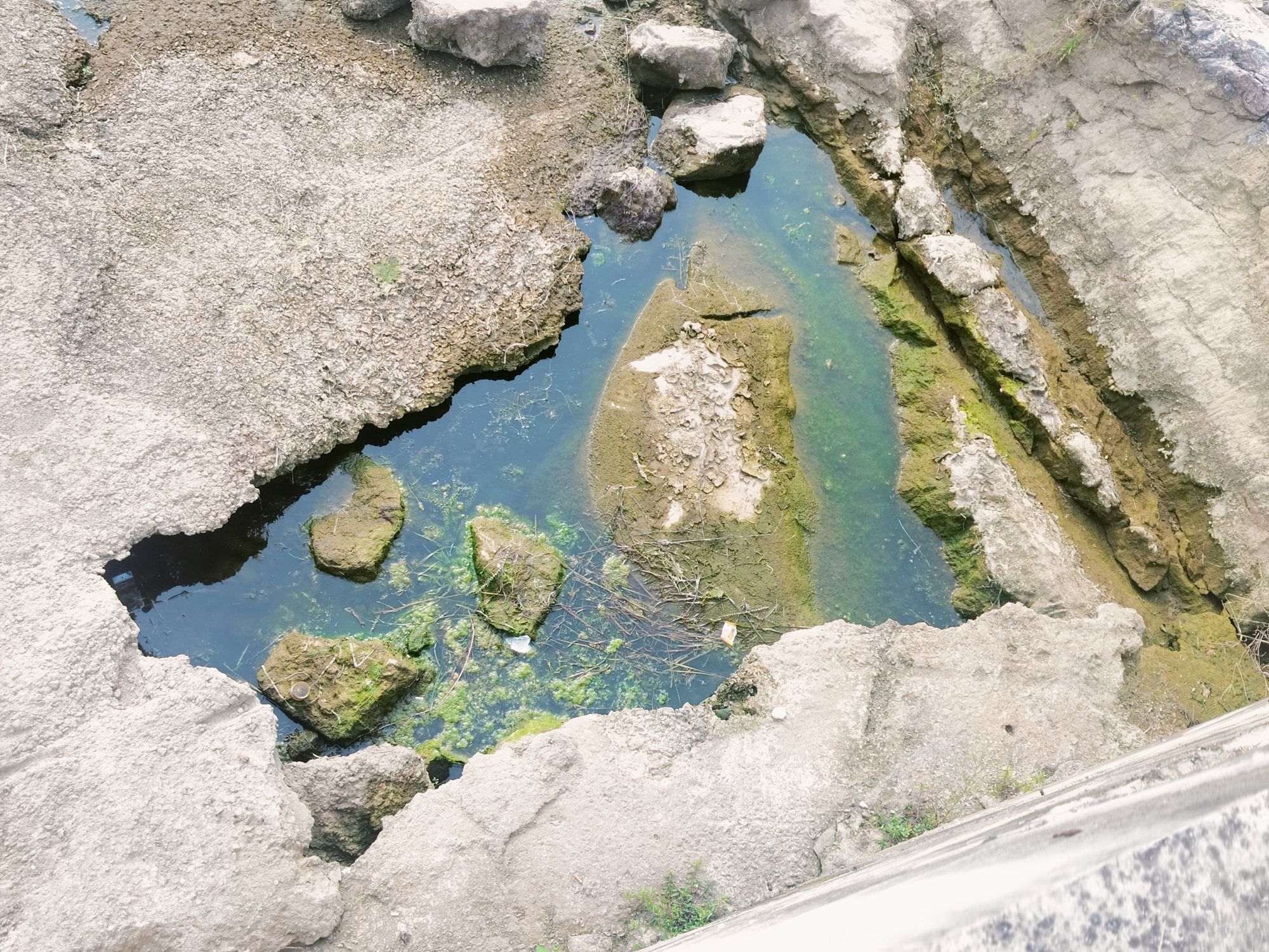 月亮湾旅行图片