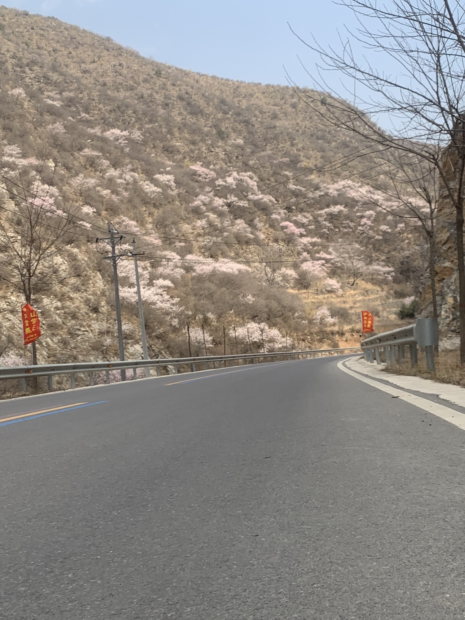 宝上路观景台旅行图片