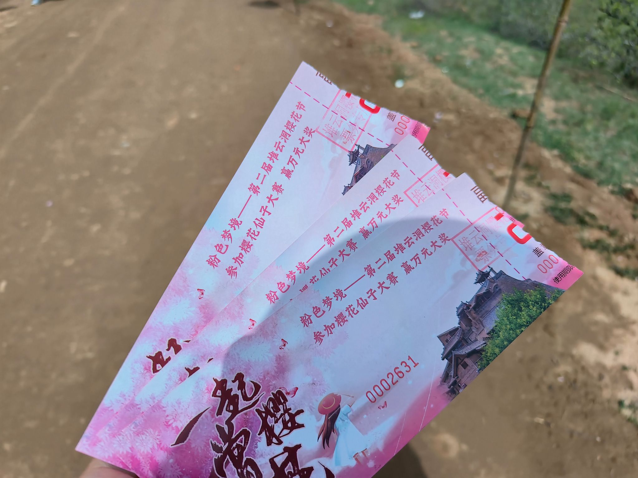 堆云洞樱花谷旅行图片