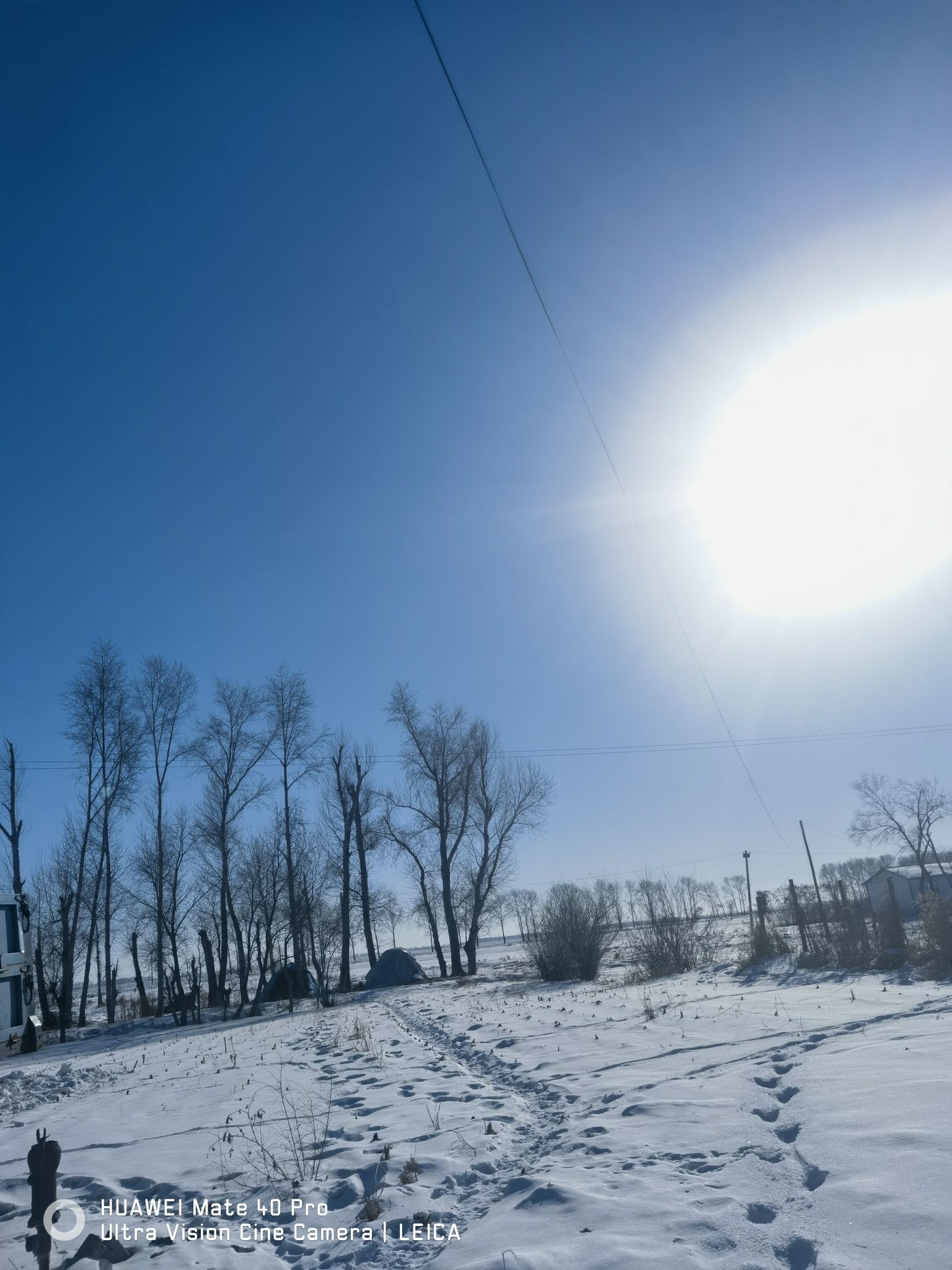 丹顶鹤冰雪梦幻王国(暂停开放)旅行图片