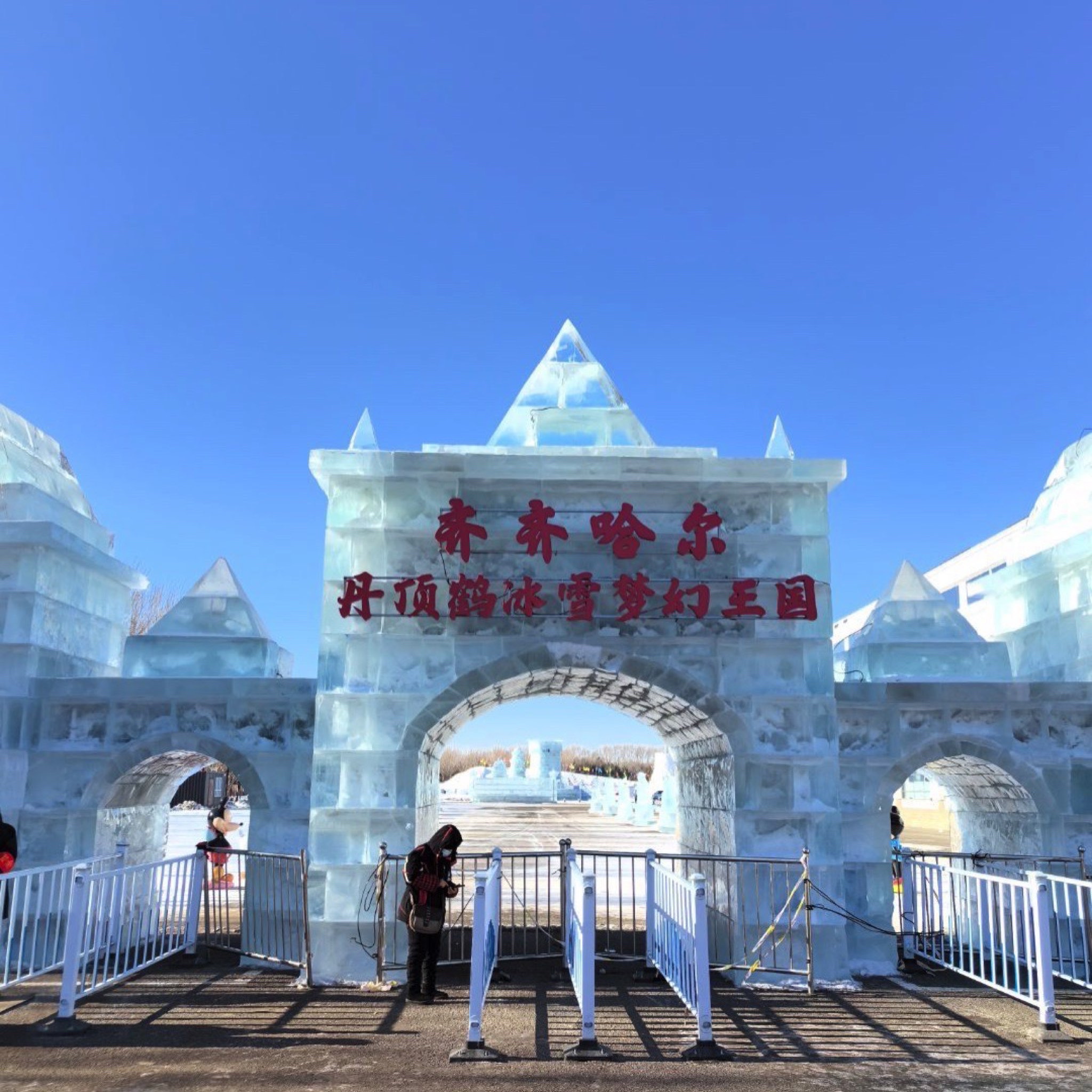 丹顶鹤冰雪梦幻王国(暂停开放)旅行图片