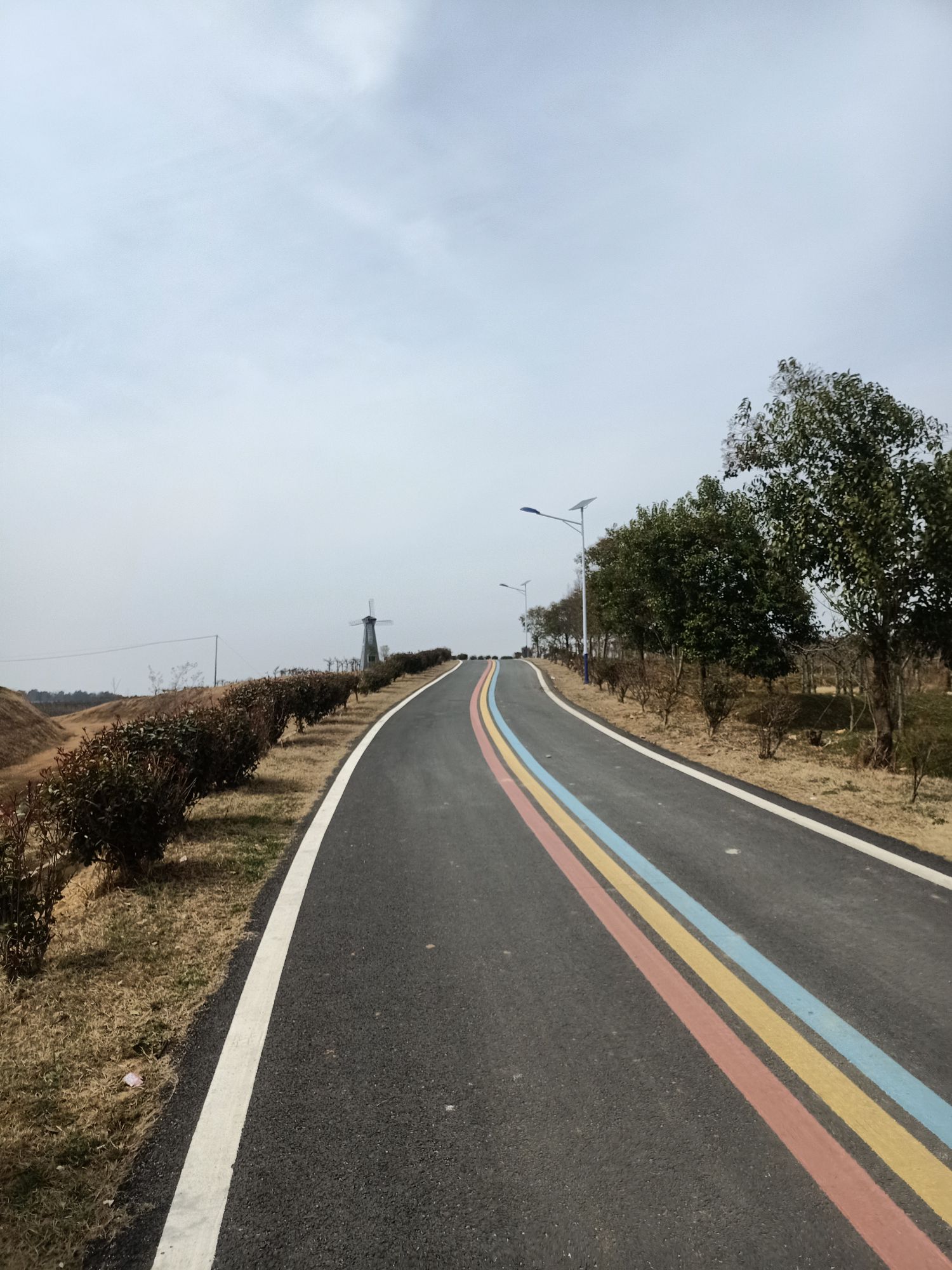 鄢岗之星