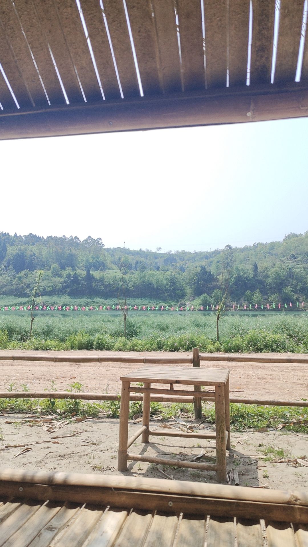 石盘镇黄石村黄石竹海旅行图片