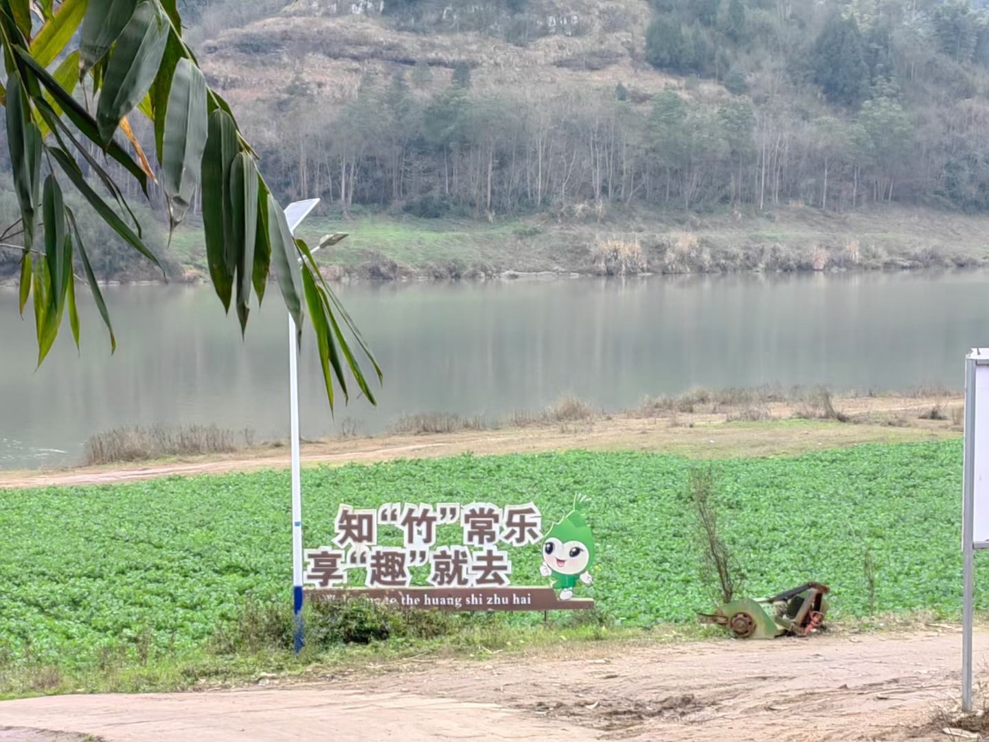 石盘镇黄石村黄石竹海旅行图片