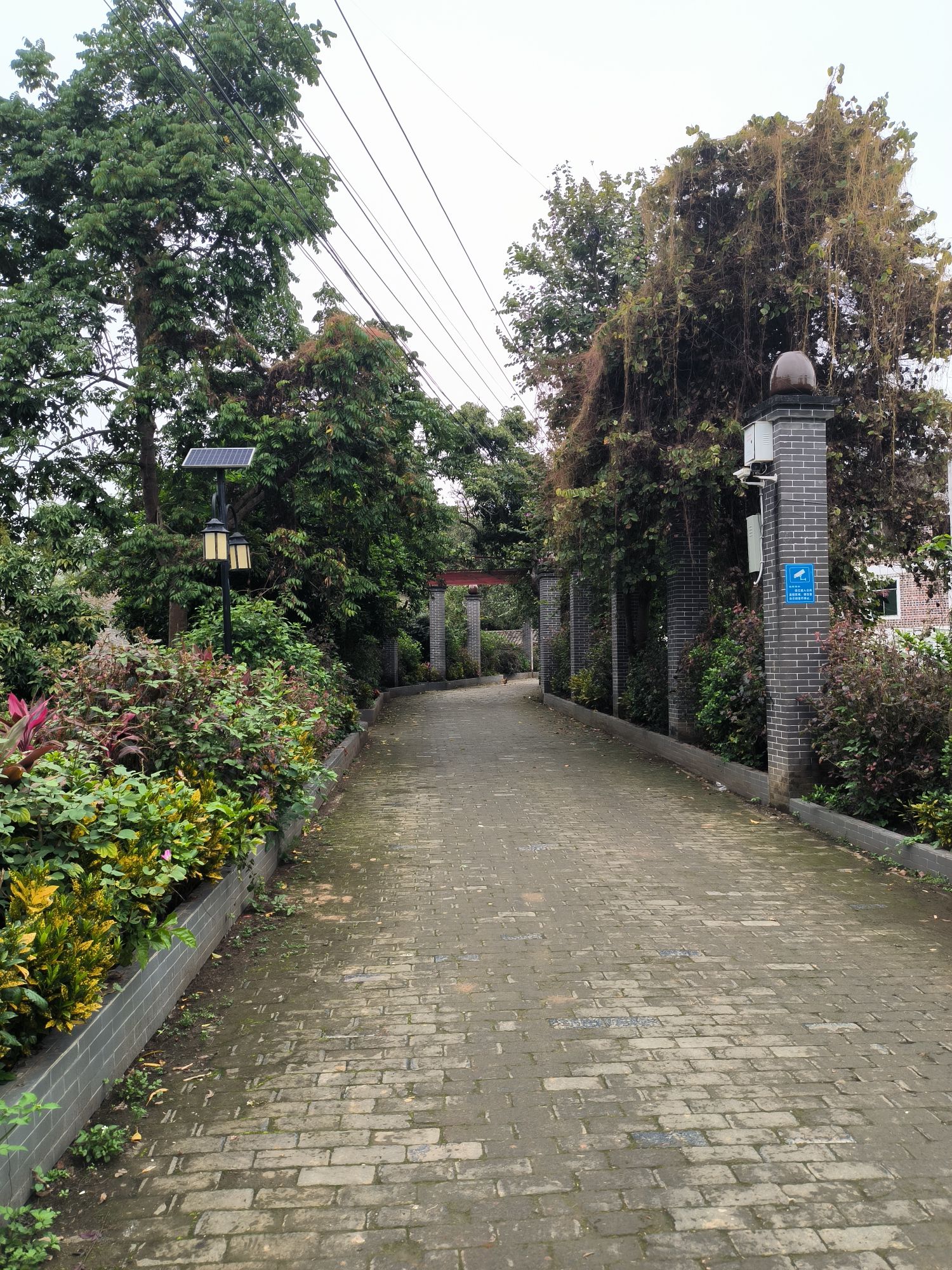 广西麻子畲红色文化旅游区