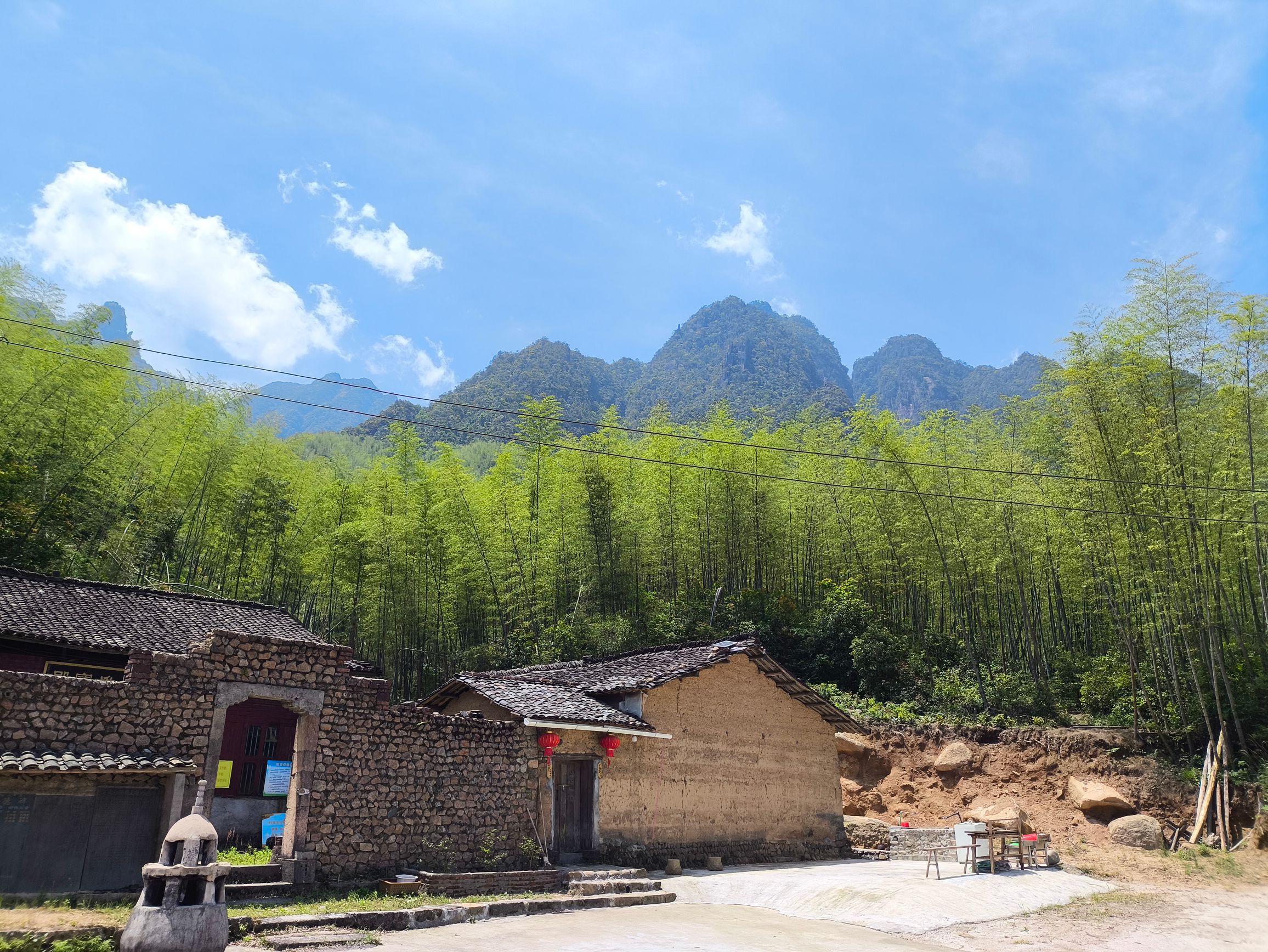 白鹤仙