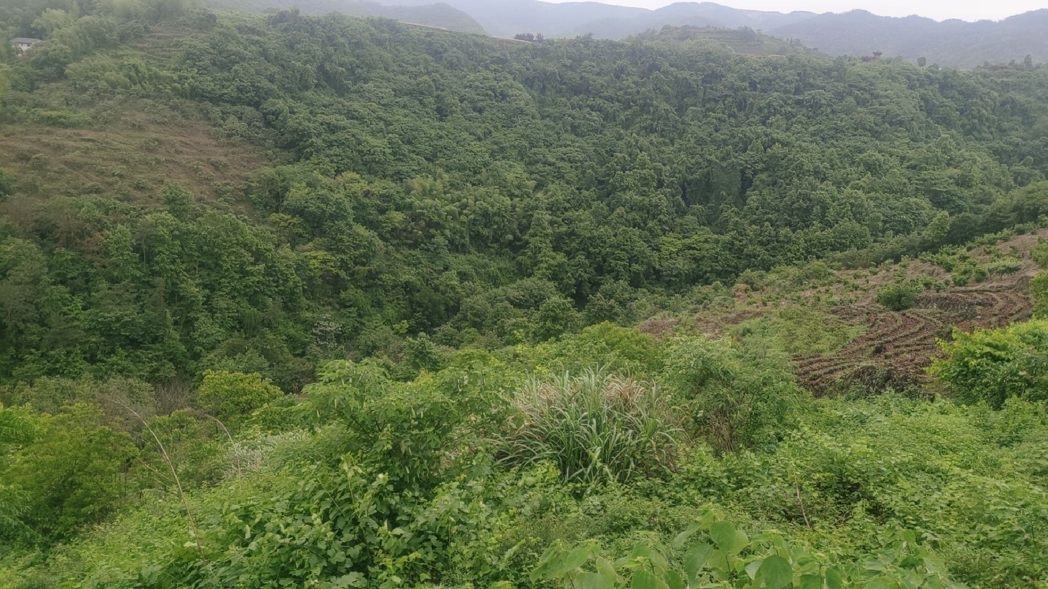 五龙潭大峡谷