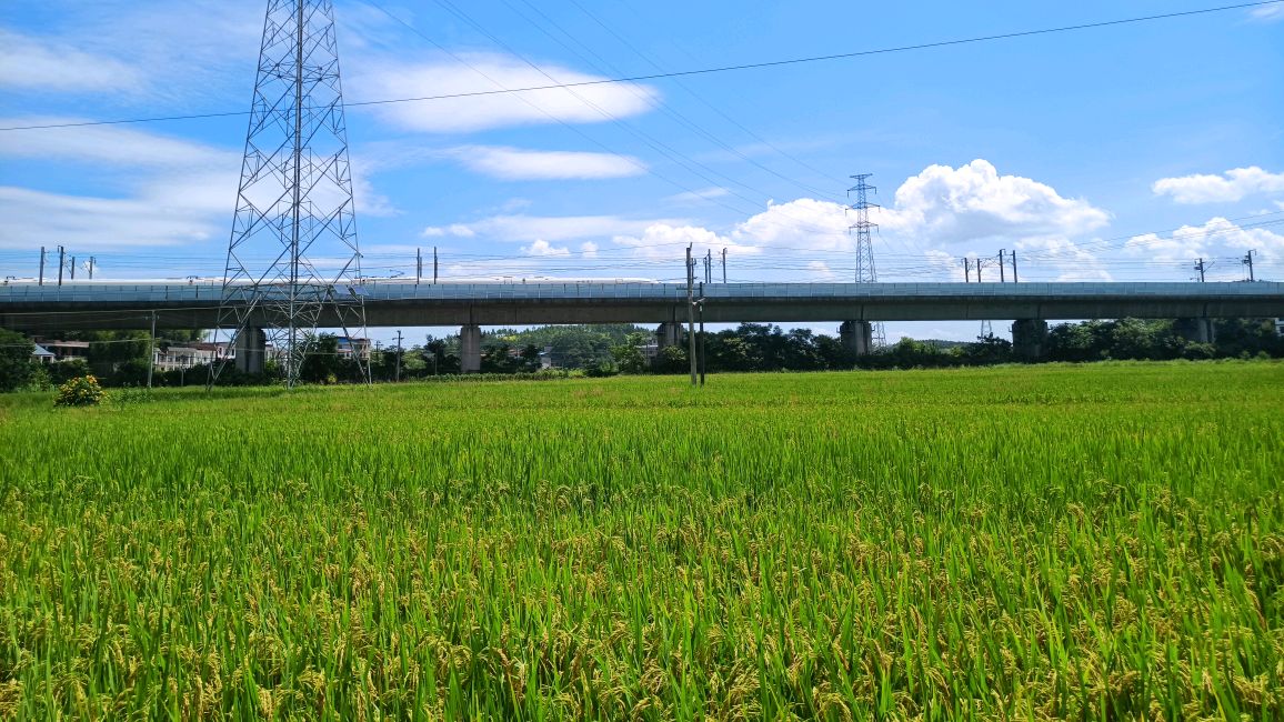 李天柱故居