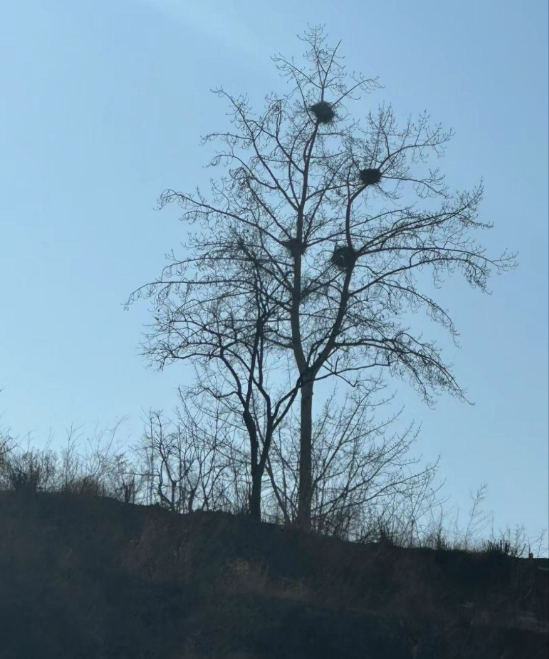 西大洋水库风景区