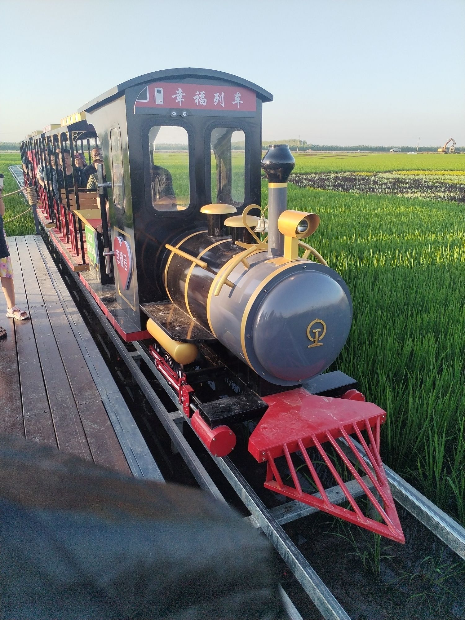 八五八农场千岛林稻田画