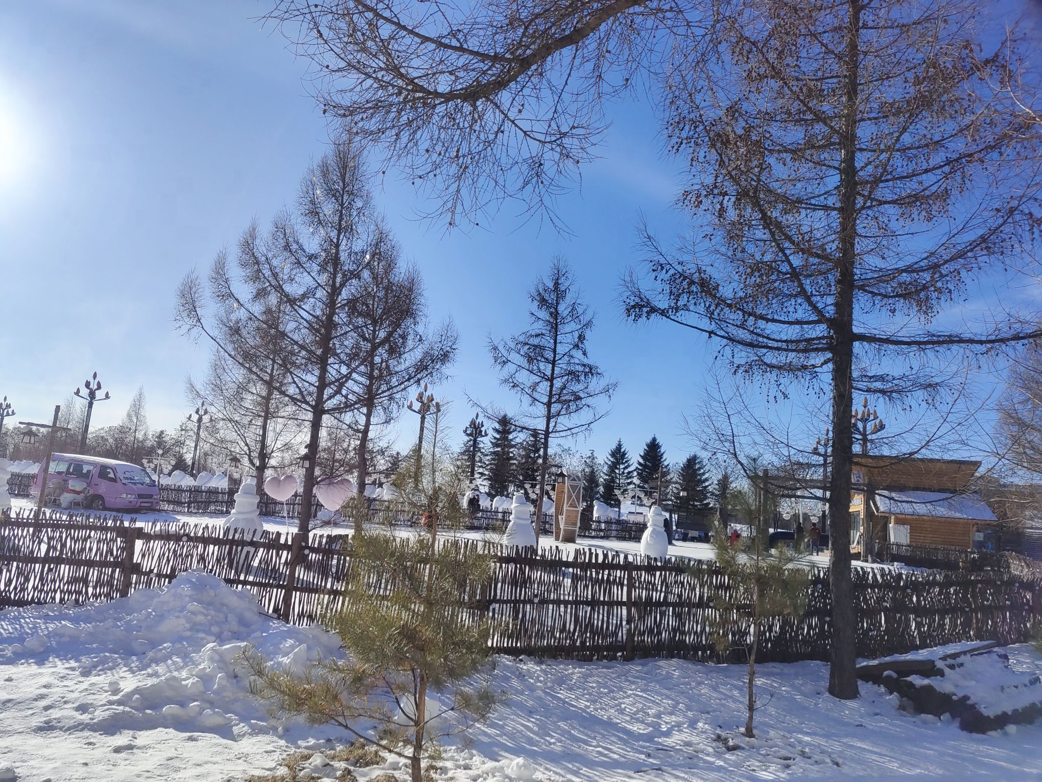 长白山雪绒花驯鹿园旅行图片
