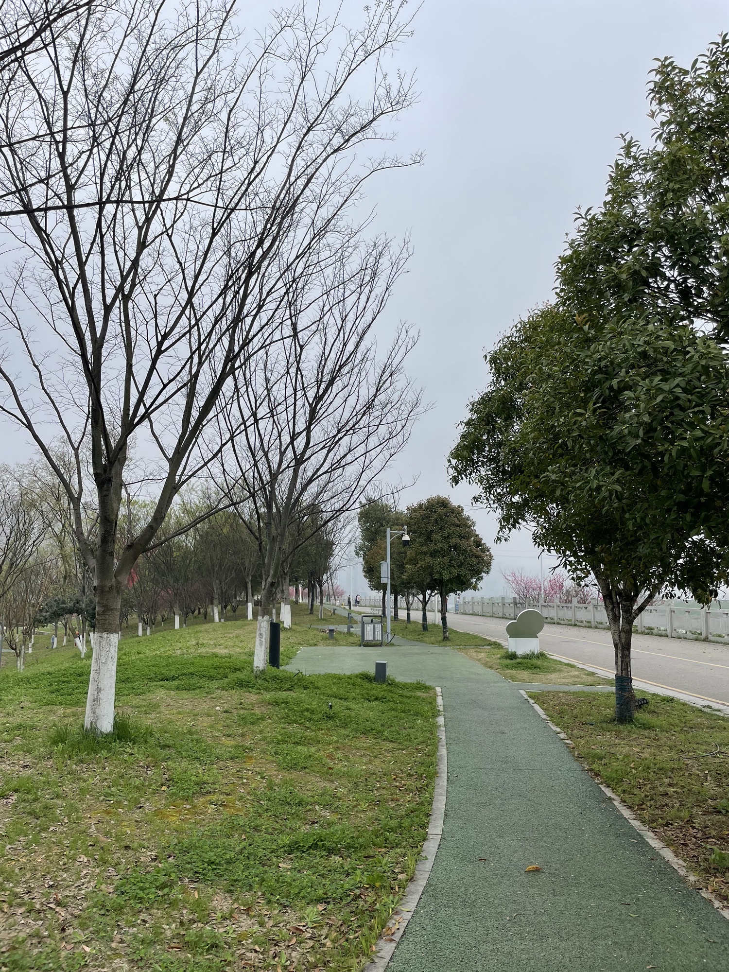 捞刀河滨水市民公园旅行图片