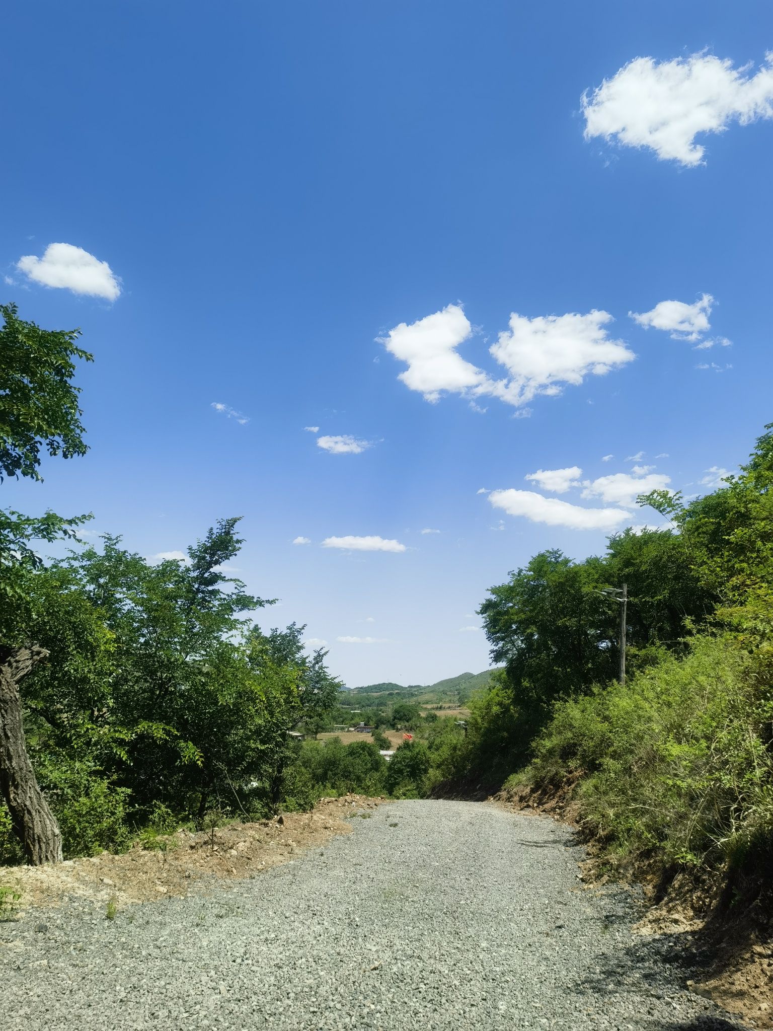 丹凤山