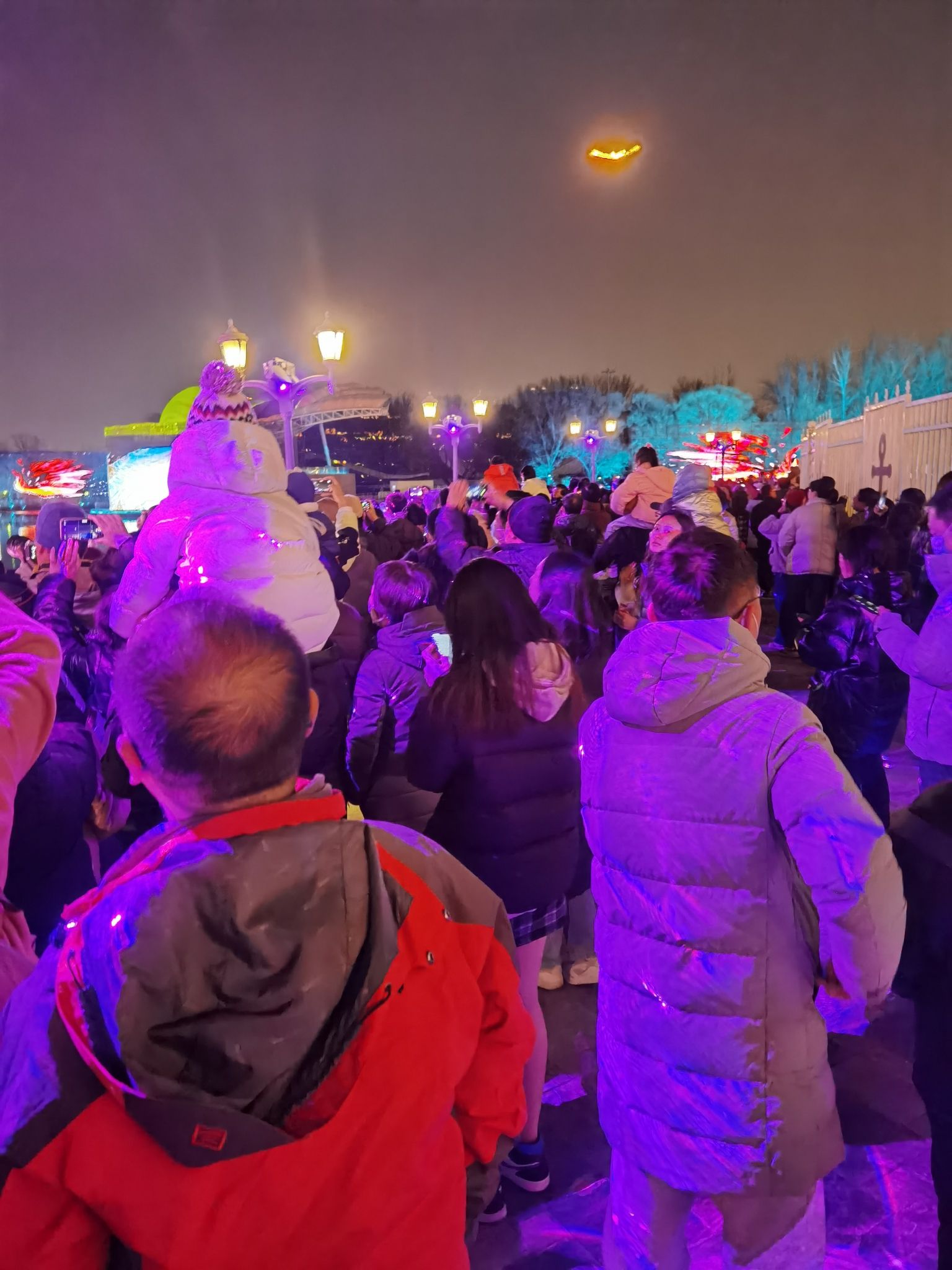 蓝港观鱼旅行图片
