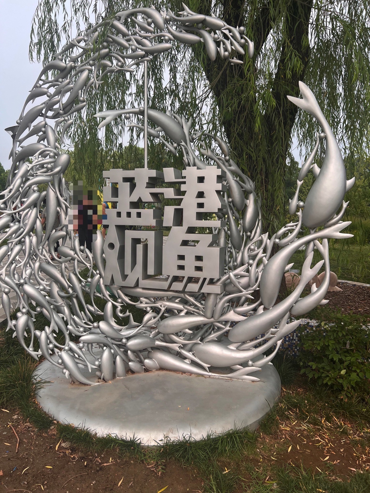 蓝港观鱼旅行图片