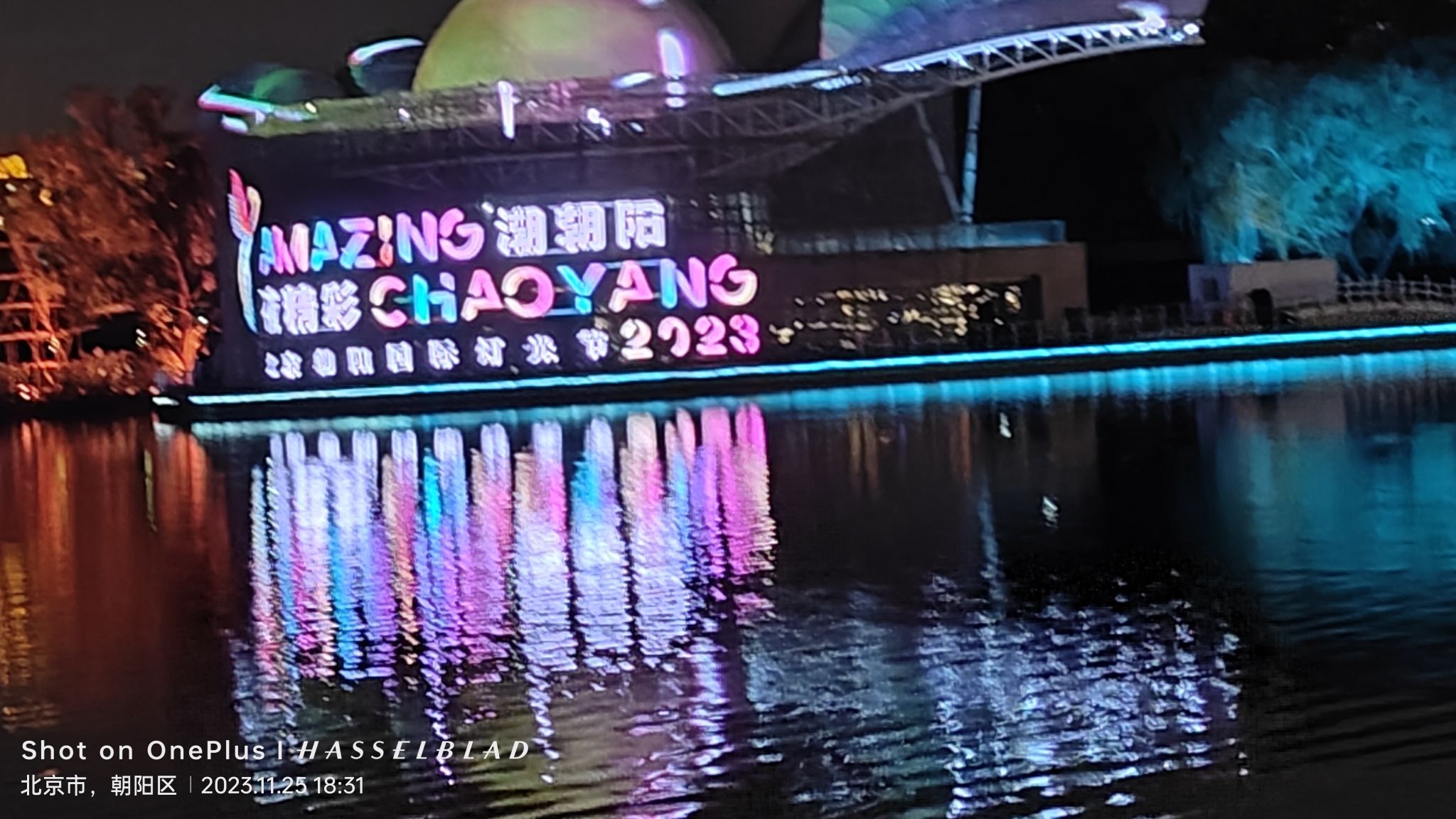 蓝港观鱼旅行图片
