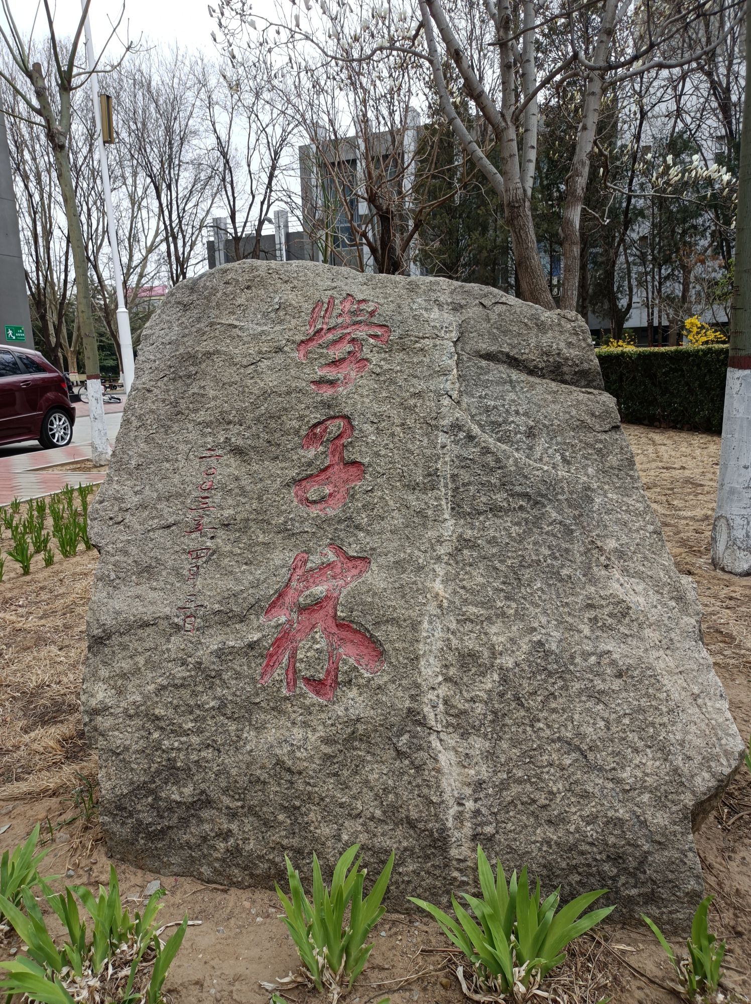 应急管理大学学子林