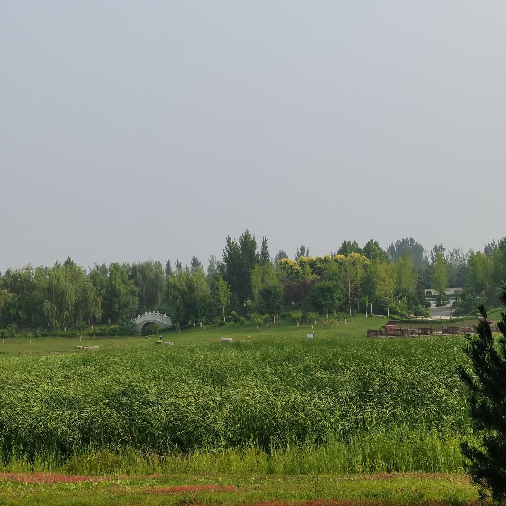 抚宁湿地公园