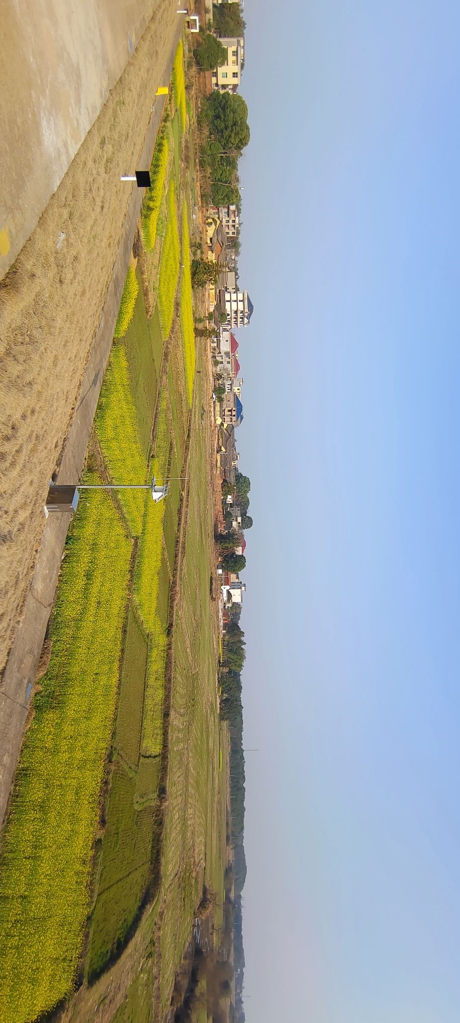 东乡区丁仕村森林公园
