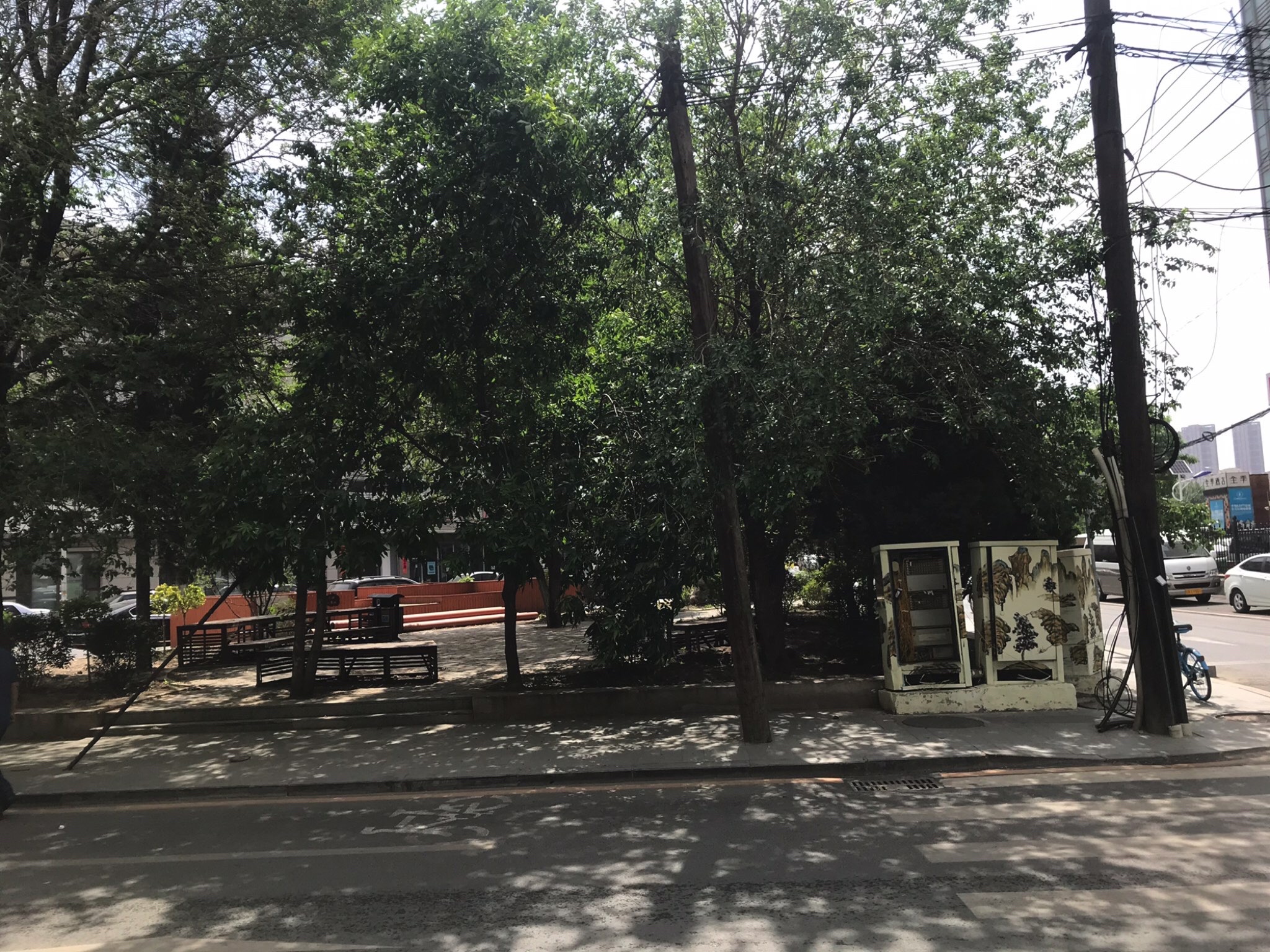 街心花园旅行图片