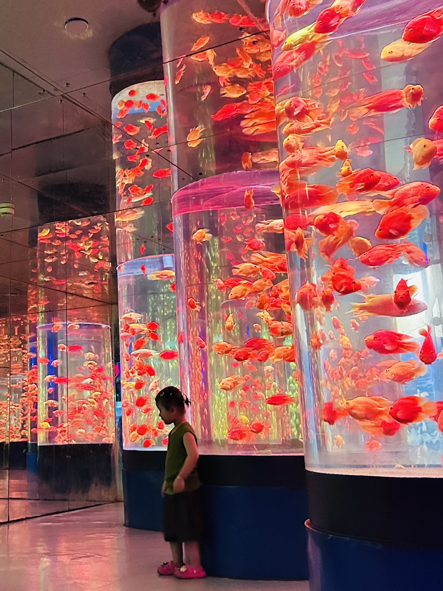 浙东淡水鱼馆
