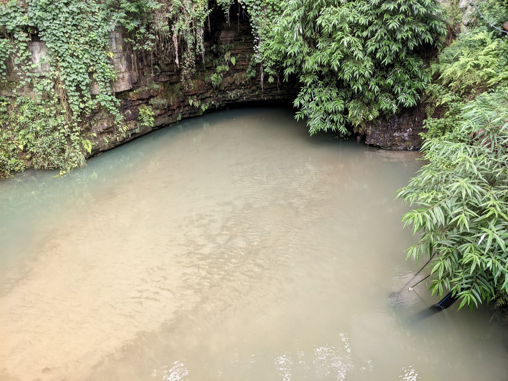 小鱼洞餐馆