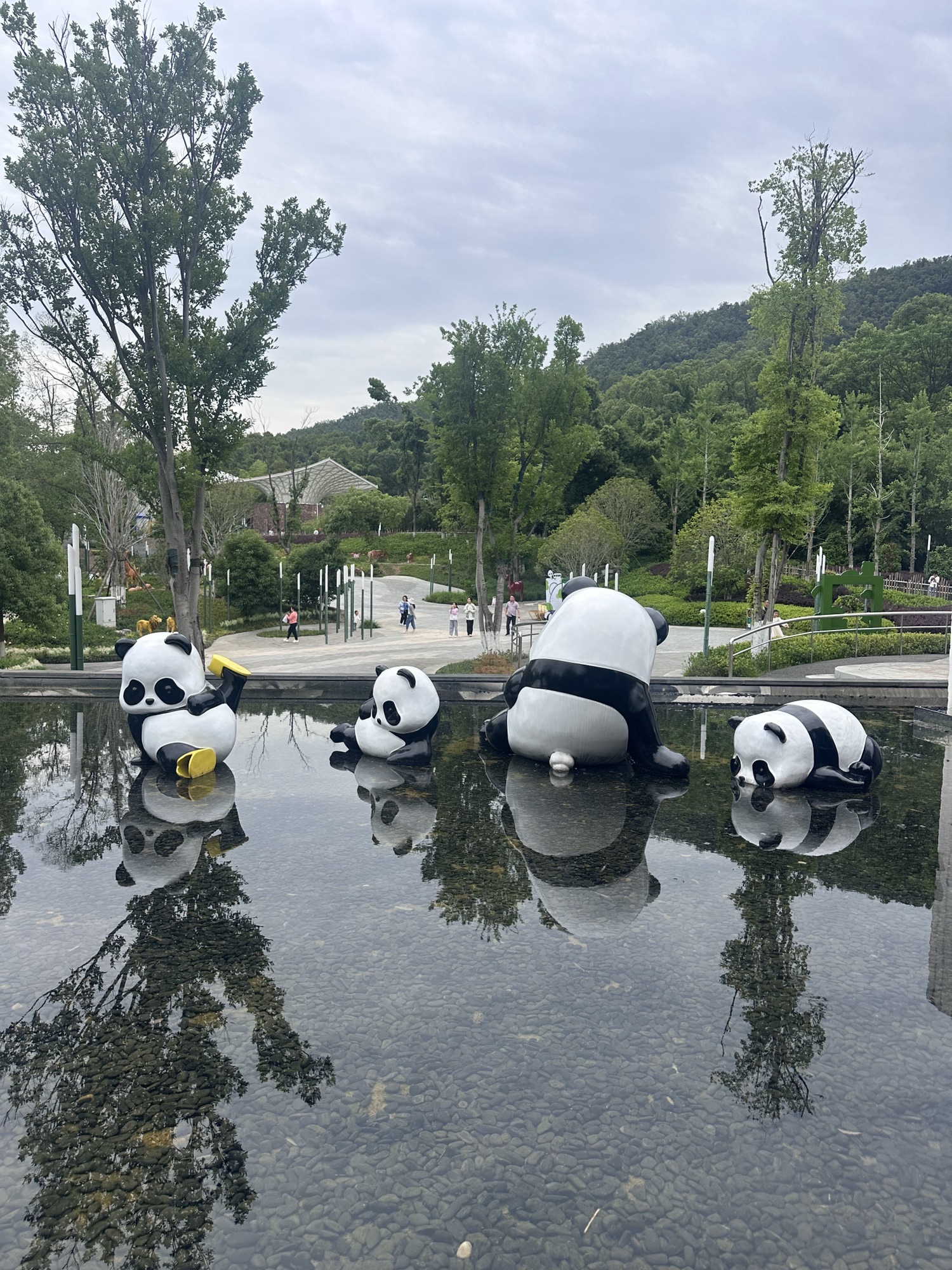 岳阳中华大熊猫苑