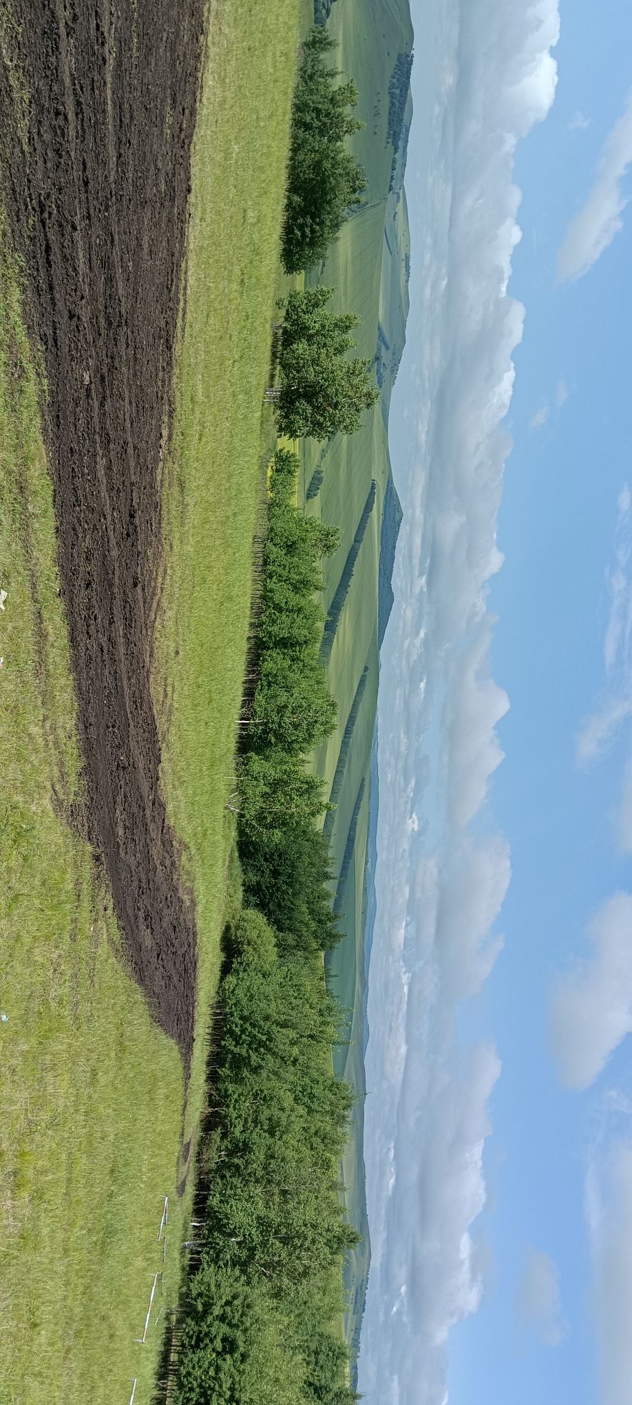 特泥河湿地观景台