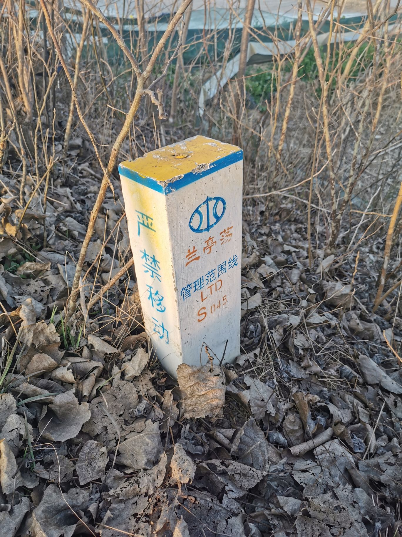 兰亭荡湿地保护区