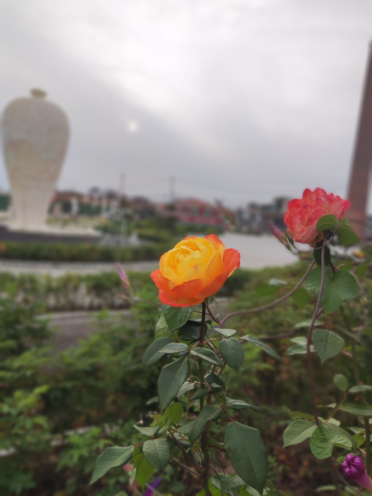 定瓷小镇旅行图片